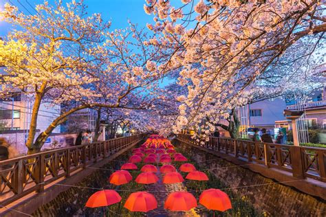 korean cities names|The Most Beautiful Towns and Cities in South Korea.